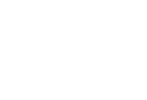 LEO Logo